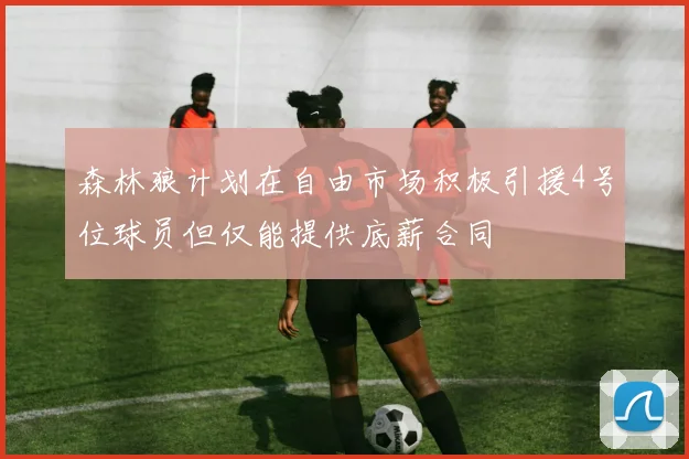 森林狼计划在自由市场积极引援4号位球员但仅能提供底薪合同