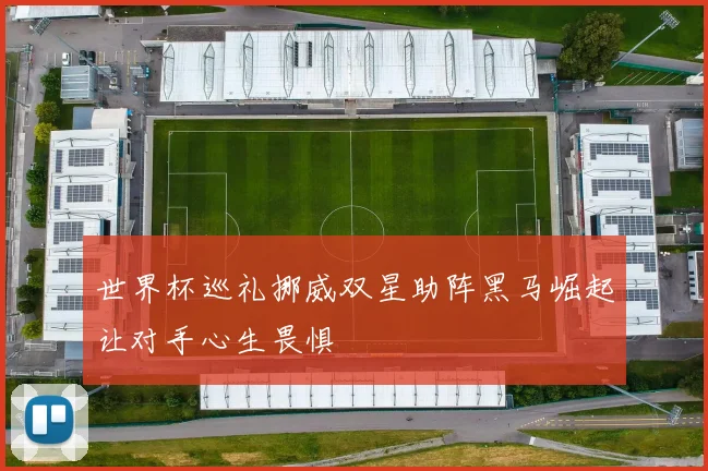 世界杯巡礼挪威双星助阵黑马崛起让对手心生畏惧