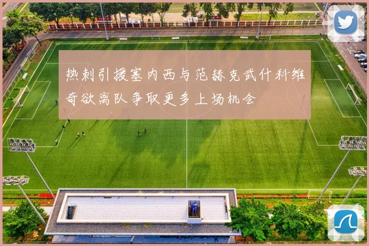 热刺引援塞内西与范赫克武什科维奇欲离队争取更多上场机会