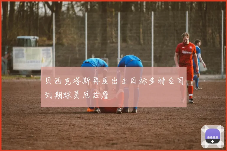 贝西克塔斯再度出击目标多特合同到期球员厄兹詹