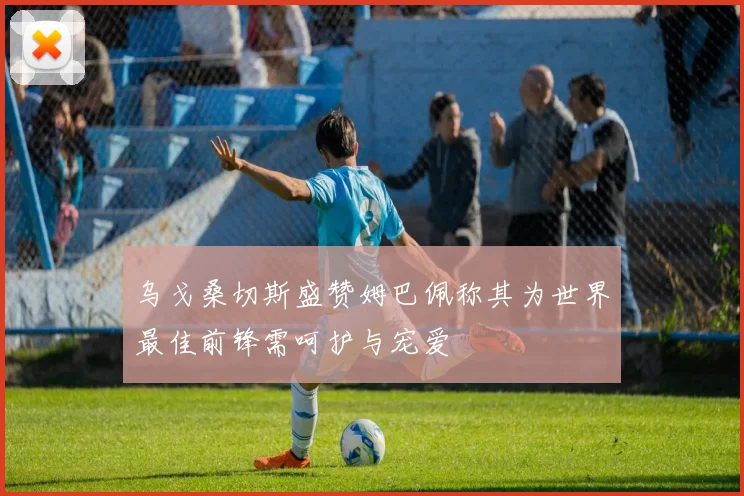乌戈桑切斯盛赞姆巴佩称其为世界最佳前锋需呵护与宠爱
